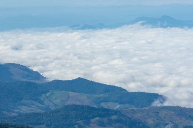 Yüksek dağ sis kaplı orman manzara.