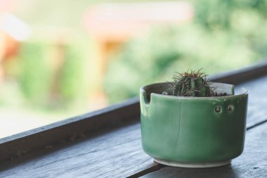 Ahşap balkona yerleştirilen tencerelerde kaktüs