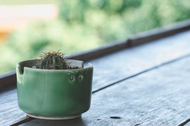 Ahşap balkona yerleştirilen tencerelerde kaktüs