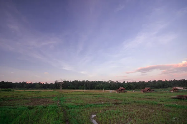 Paysage Des Rizières Dans Soirée Thaïlande — Photo