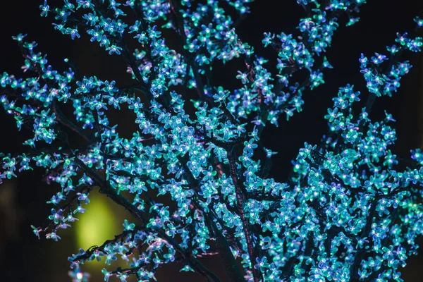 Lights Used Decorate Trees Create Beautiful Light — Stock Photo, Image