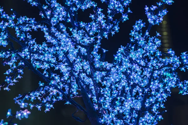 Lights Used Decorate Trees Create Beautiful Light — Stock Photo, Image