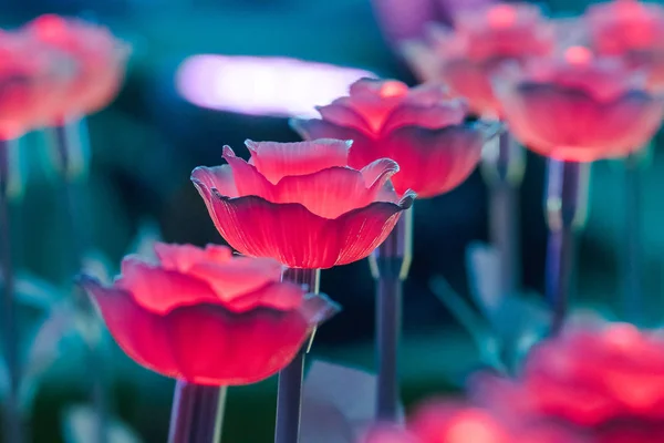 조명은 축제에서 아름다운 만들기 꽃으로 장식되어 있습니다 — 스톡 사진