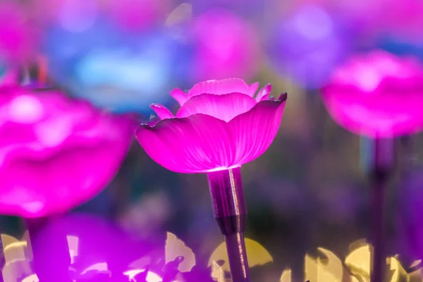 Lights Decorated Flowers Create Beautiful Light Night Festival — Stock Photo, Image