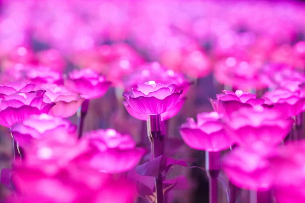 Lights Decorated Flowers Create Beautiful Light Night Festival — Stock Photo, Image