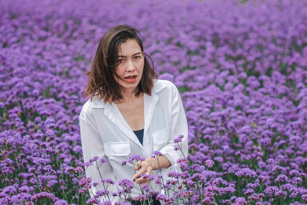 Las Mujeres Campo Verbena Están Floreciendo Hermosas Temporada Lluvias —  Fotos de Stock