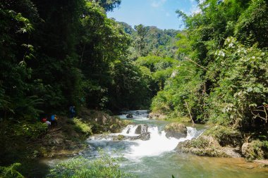 Sırt çantalı turistler kampa gitmek için ormanda su boyunca yürürler..