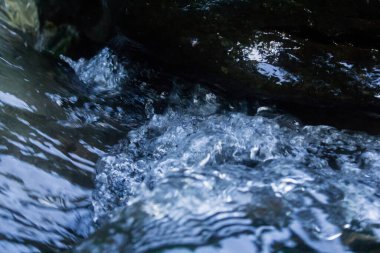 Nehir, orman derelerindeki vadiler boyunca akar..