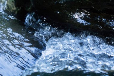 Nehir, orman derelerindeki vadiler boyunca akar..