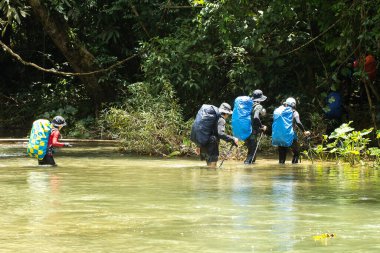 Turistler ormandan geçerek kamp alanına geri dönüyorlar. Doğaya hayranım.