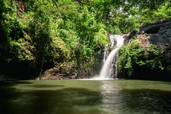 Waterfall Forest Natural Stream Water Flows Rocks Height Creating Dampness — Stock Photo, Image