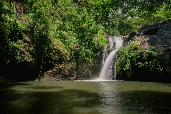 Ein Wasserfall Wald Ein Natürlicher Wasserlauf Der Von Unten Durch — Stockfoto