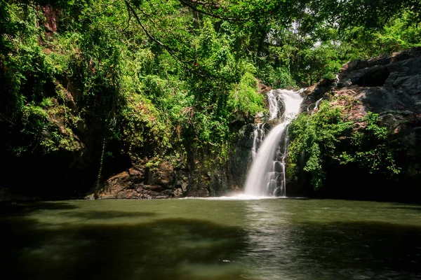 Ein Wasserfall Wald Ein Natürlicher Wasserlauf Der Von Unten Durch — Stockfoto