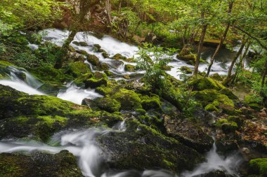 Yosun kaplı taş ve kayalar nehir, hava görünümünü, seyahat hedef boyunca kaynak Grza, Paracin, Sırbistan