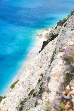 Sandy vahşi plaj temiz su ve cliff, güzel bir plaj arka plan, havadan görünümü kenarında kekik ile