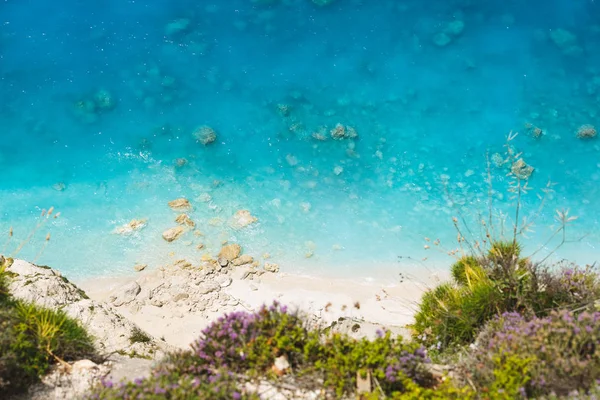 Havadan Görünümü Ile Vahşi Kumsal Temiz Çiçekli Güzel Plaj Arka — Stok fotoğraf