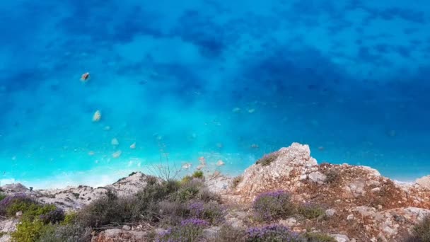 Aerial View Sandy Wild Beach Clear Water Flowering Wild Thyme — Stock Video