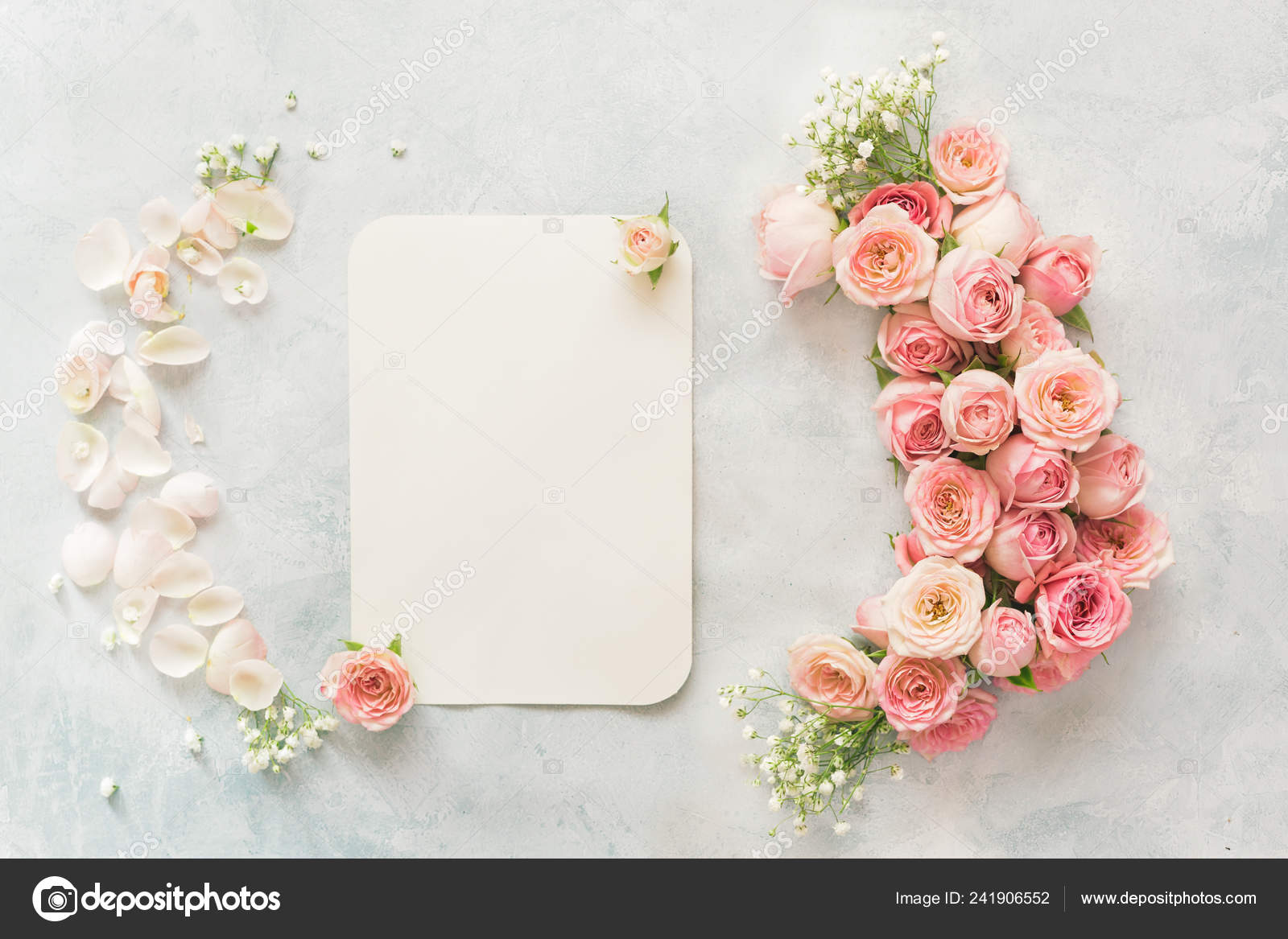 Blank Card Rose Flowers Gypsophila Blank Invitation Background Roses Petals  Stock Photo by ©Slast 241906552