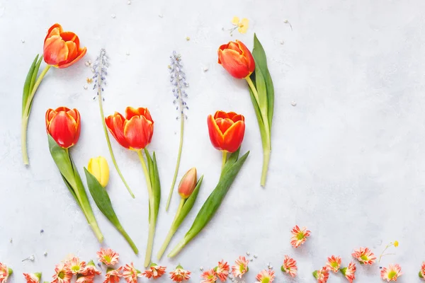 Bahar Çiçek Lale Sümbül Boyalı Yüzeyi Dahil Olmak Üzere Renkli — Stok fotoğraf
