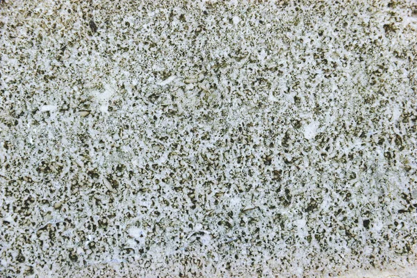 Tekstura Coquina Kamień Zbliżenie — Zdjęcie stockowe