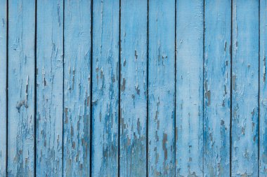 Mavi boyayla boyanmış ahşap. Doğal desenli eski mavi ahşap doku. Eski bir ahşap doku. Boyanmış mavi bir duvar. Boya çatlamış. Grunge tasarım için renkli arka plan. Stok Fotoğrafı.