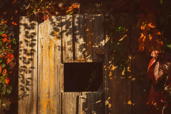 Vecchia porta di legno su una baracca — Foto Stock