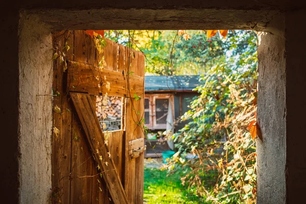 Вид через деревянную дверь в саду — стоковое фото