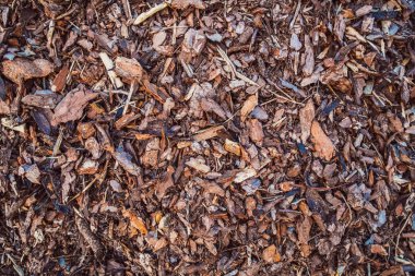 kahverengi malç ve ahşap talıç doku