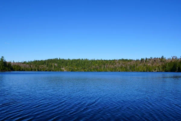 Landschap Een Meer Een Wild Bos Door Een Rustige Prachtige — Stockfoto