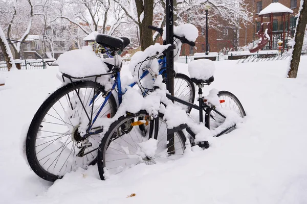Primera Nieve Caído Sobre Todo Durante Noche Dos Bicicletas Están —  Fotos de Stock