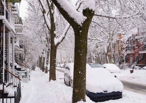 Primera Nieve Caído Sobre Los Árboles Durante Noche Los Coches —  Fotos de Stock