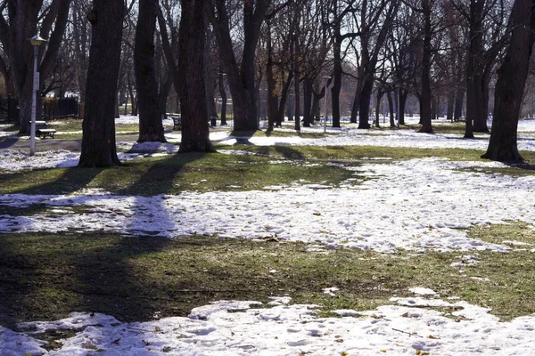 Nieve Derrite Después Primera Nevada Otoñal Nadie Está Este Parque —  Fotos de Stock