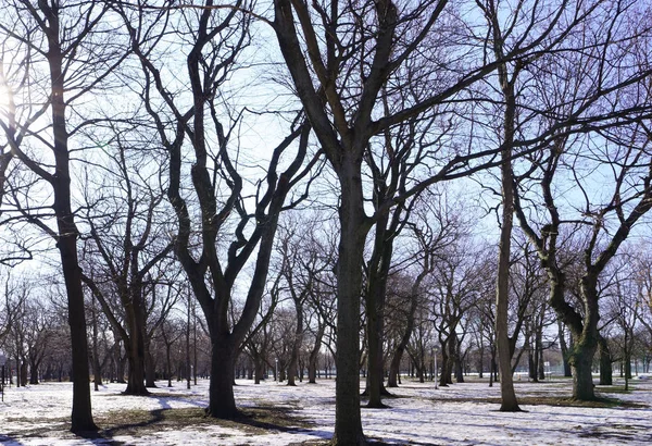 Einem Schönen Sonnigen Morgen Schmilzt Der Schnee Einem Öffentlichen Park — Stockfoto
