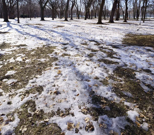 By a beautiful sunny morning, snow is melting in a public park in Montreal, Canada.