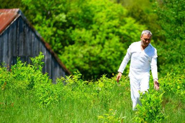 Beyaz giyimli bir adam bir tarlada yürüyor ve çiçeklere dokunuyor, yeşille çevrili..