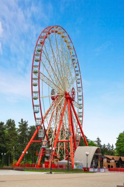 Yaz yeşil parkın arka planda güzel dönme dolap
