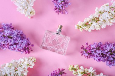Parfümeri ve çiçek kokusu konsepti. Pembe arka planda llilac çiçekler ile merkezinde parfüm şişe. Yaratıcı trendy düz yatıyordu