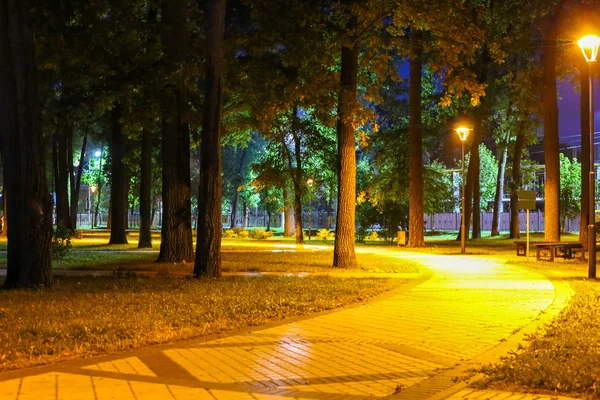 Parque nocturno. Luces hermosas — Foto de Stock