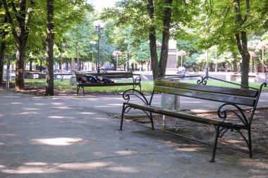 Parktaki bankta uyuyan evsiz bir adam.