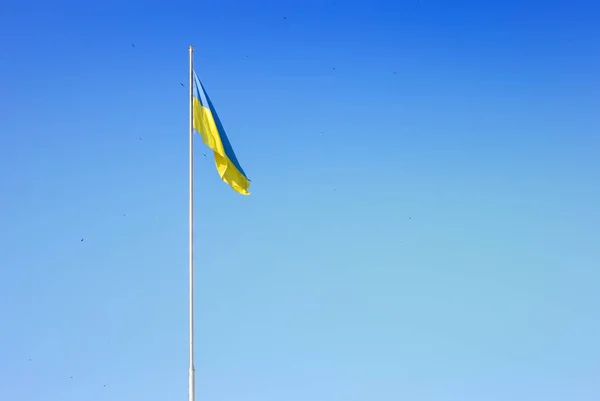 Oekraïense Vlag Een Achtergrond Van Heldere Lucht Met Duiven Kopieer — Stockfoto