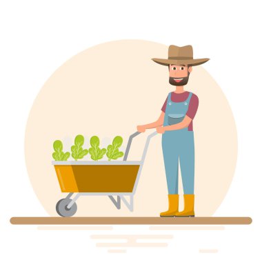 sebze dikim kadın ve erkek. Düz bir tasarım vektör Illustration. çiftlik kavramı