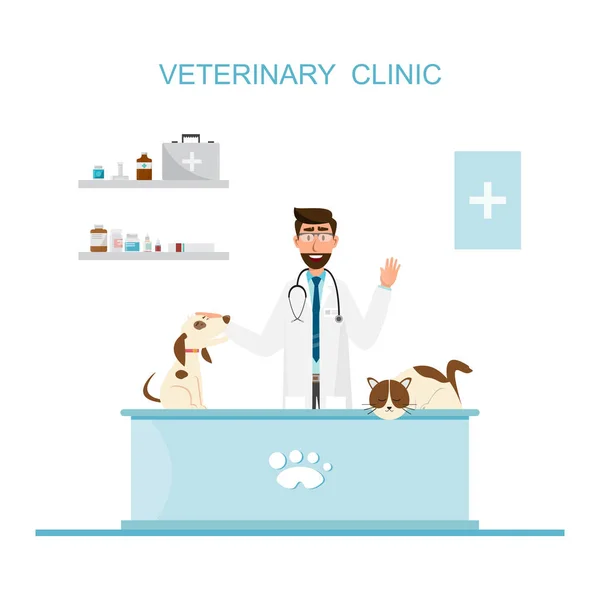 Veterinario y médico con mascota en mostrador en clínica veterinaria . — Vector de stock