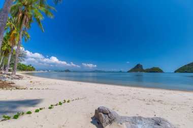 Tayland güneyinde beyaz kumlu plaj ve mavi gökyüzünde Hindistan cevizi palmiye ağaçları