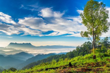Doi Luang Chiang Dao, Chiangmai, Tayland Dağ'da gün doğumu Manzara