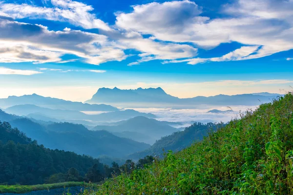 Sonnenaufgangslandschaft Auf Dem Berg Bei Doi Luang Chiang Dao Chiangmai — Stockfoto