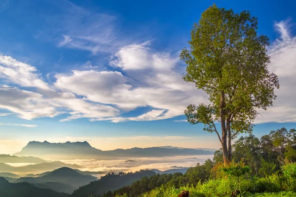 Paisaje Del Amanecer Montaña Doi Luang Chiang Dao Chiangmai Tailandia — Foto de Stock