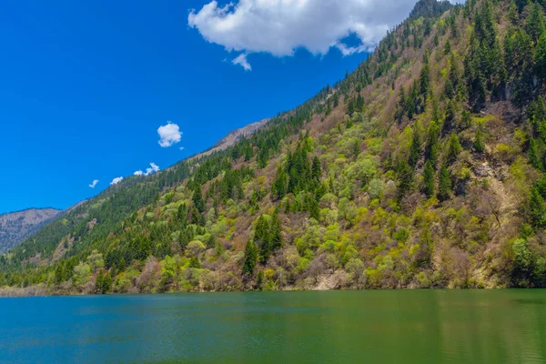 Dagu Glacier Milli Parkı güzel manzara kar dağ görünümü, Chengdu, Çin