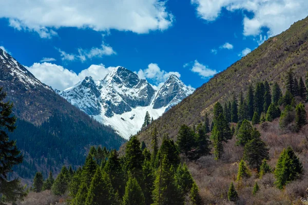 Krásný Horský Výhled Národní Park Glacier Čcheng Čína — Stock fotografie