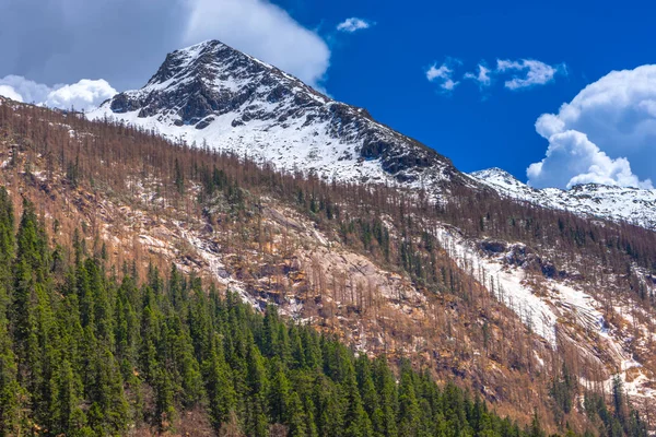 Hermosa Vista Panorámica Montaña Nieve Del Parque Nacional Glaciar Dagu — Foto de Stock