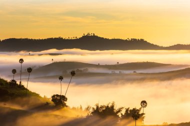 Güzel Sunrise ve Khao Kho de sis, Phetchabun Eyaleti, Tayland.